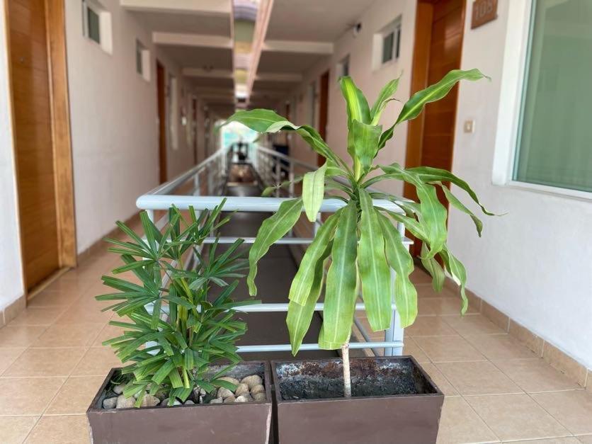 Hotel Santo Domingo Express Villahermosa Eksteriør bilde
